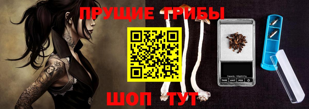 Галлюциногенные грибы Psilocybine cubensis  Вход с VPN  Домодедово 